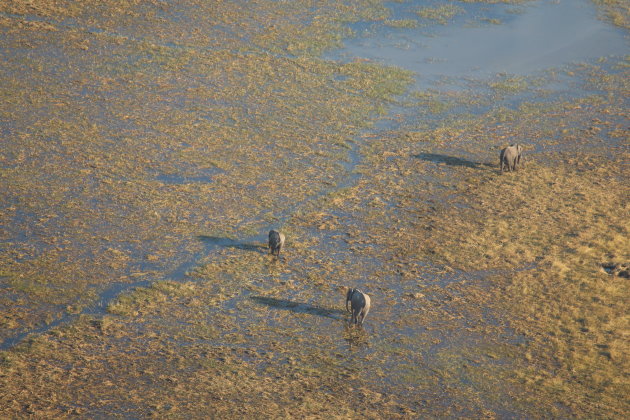 Vlucht over de Okavango Delta