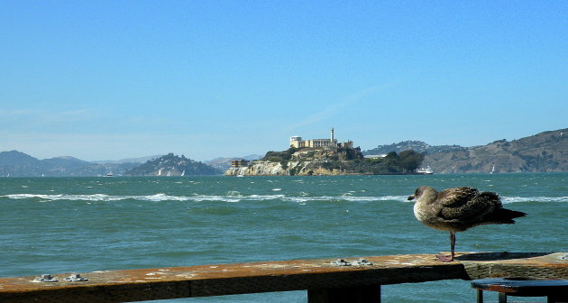 Alcatraz !