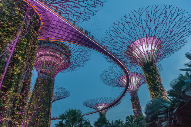 Verticale tuinen in Singapore