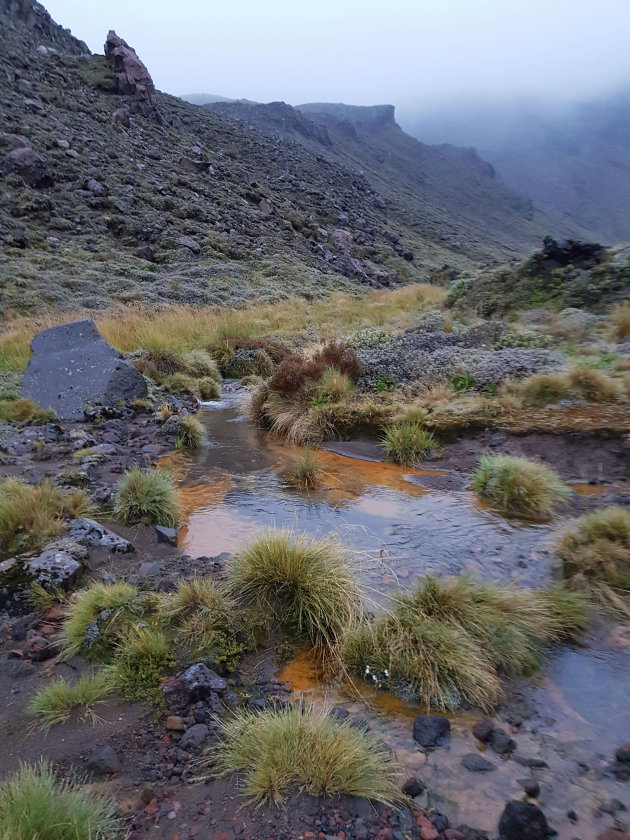 Tongariro Alpine Crossing in de mist