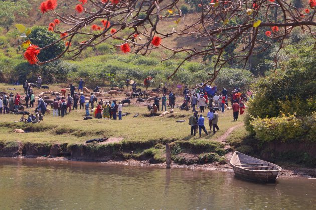 Karongi, veemarkt aan het meer