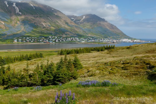 Siglufjörður IJsland