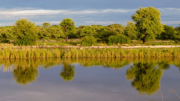 Ochtendlicht in de Okavango Delta