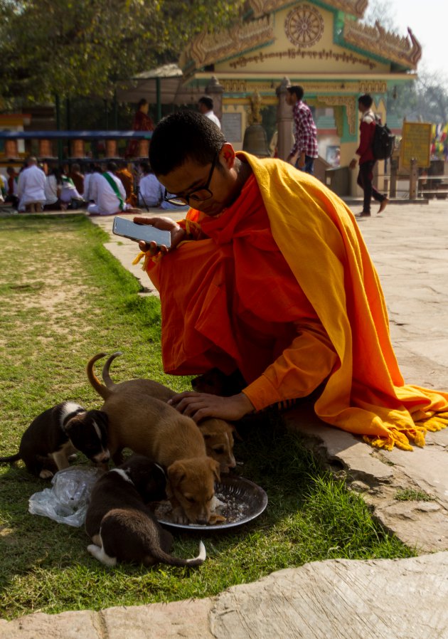 tibet in india