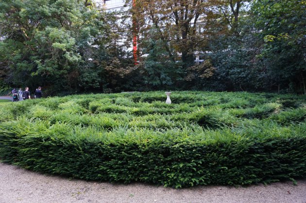 labyrint The Iveagh Gardens