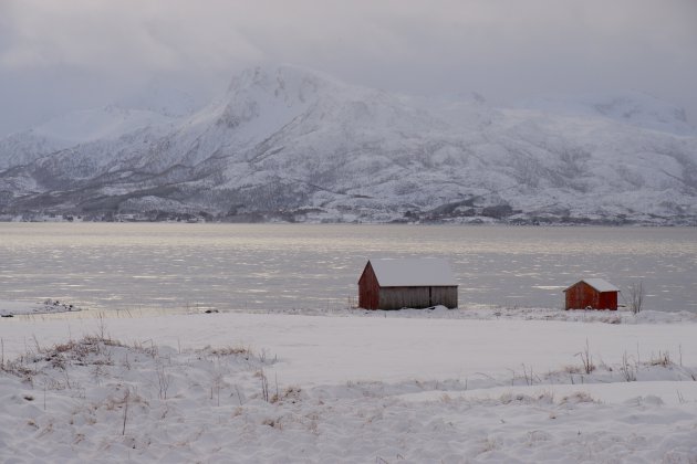 Langs de fjord