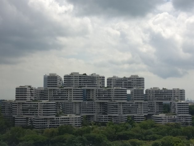 Een van de meest opvallende constructies in Singapore
