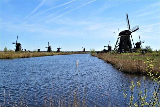 De molens van Kinderdijk.