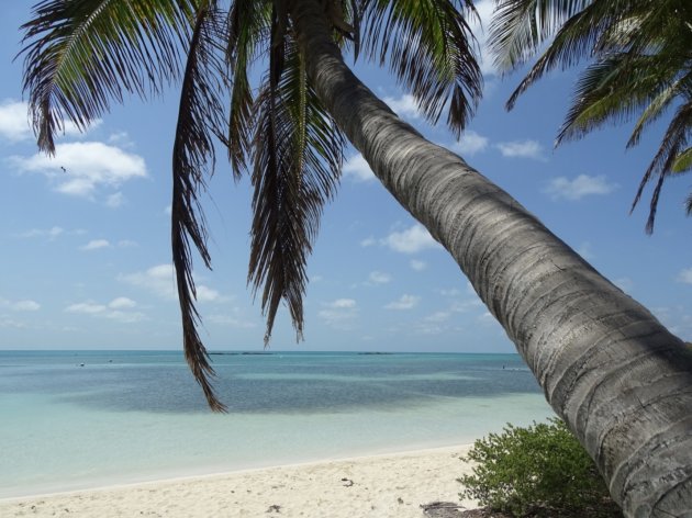 Bounty-island Relaxing, wild paradise