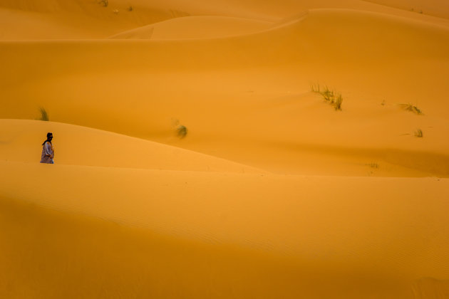 Alleen in de woestijn..