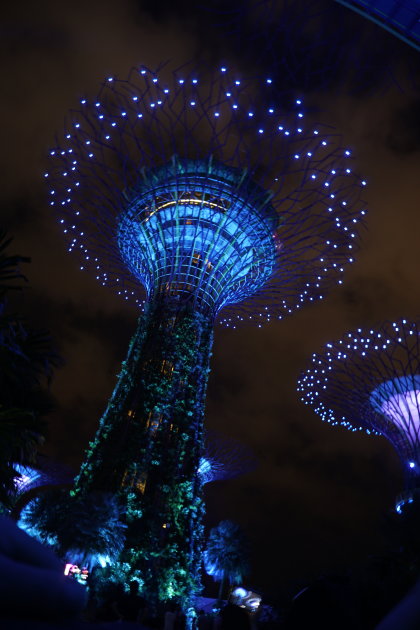 Supertrees of Singapore