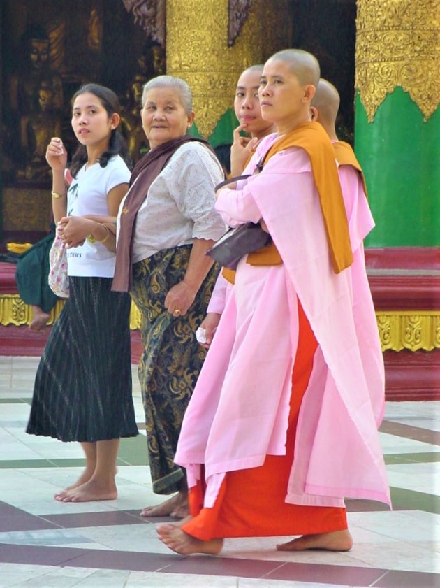 Boeddhistische Nonnen.