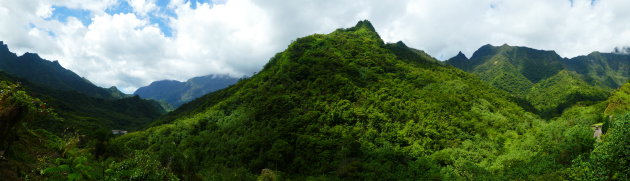 Het wilde kantje van Tahiti