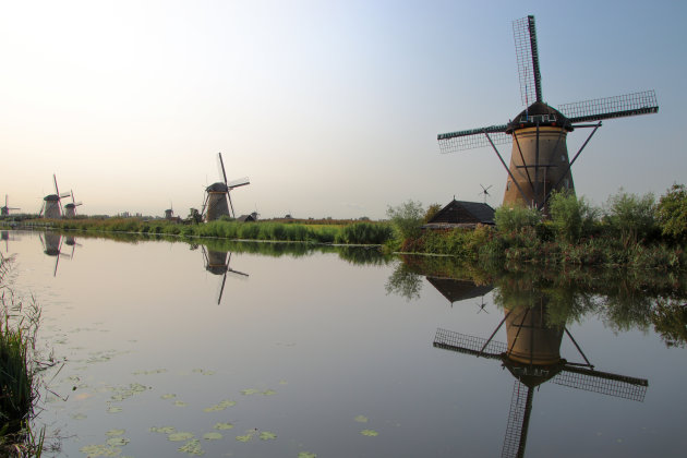 Windmills NL