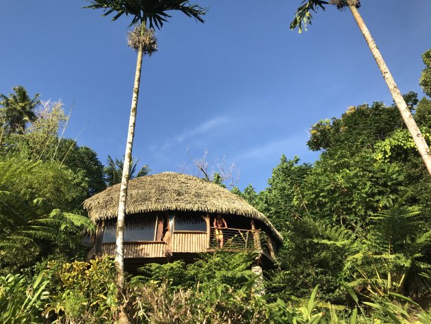 Robinson hut