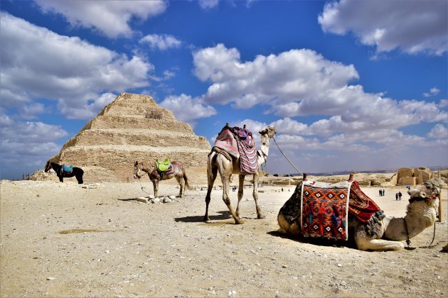 Bij de piramide van Djoser.