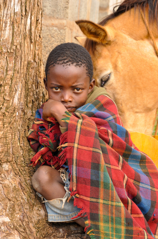 jonge cowbow in Lesotho