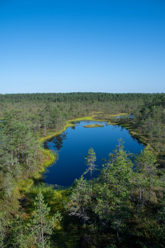 Compleet wolk-loos in Estland