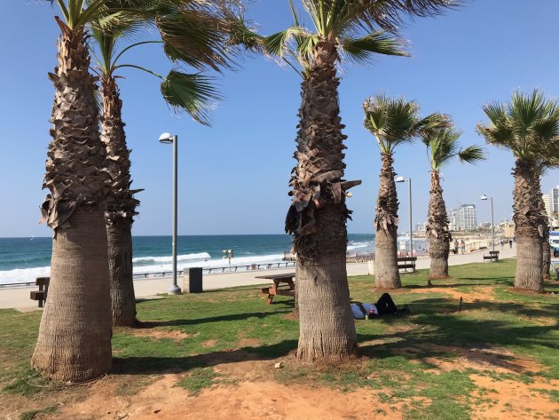 Relaxed Tel Aviv