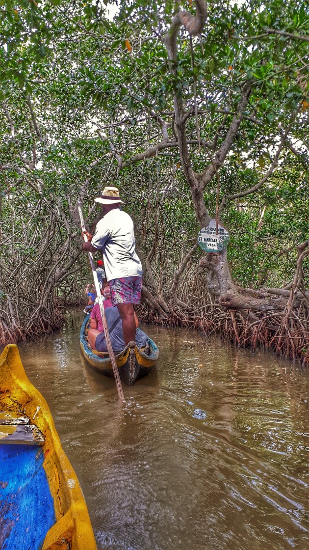 Door de mangroven