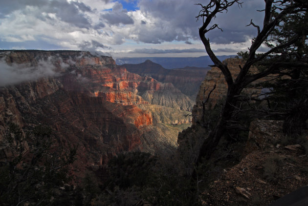 Grand Canyon vanaf de North Rim