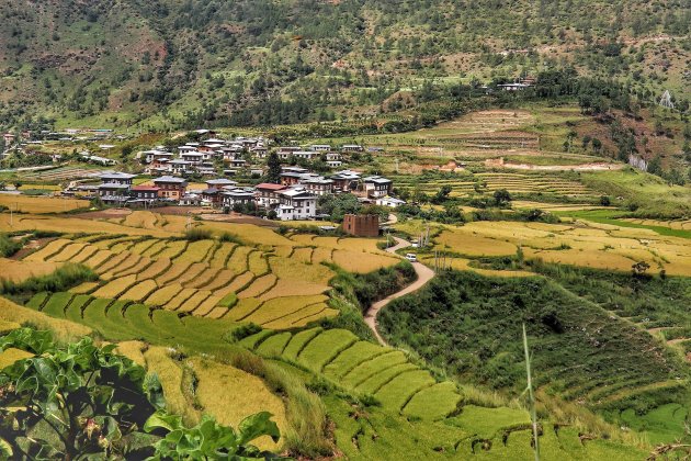 In de groene wereld van Bhutan