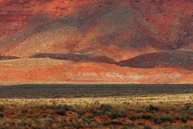 Landschap in Arizona Verenigde Staten