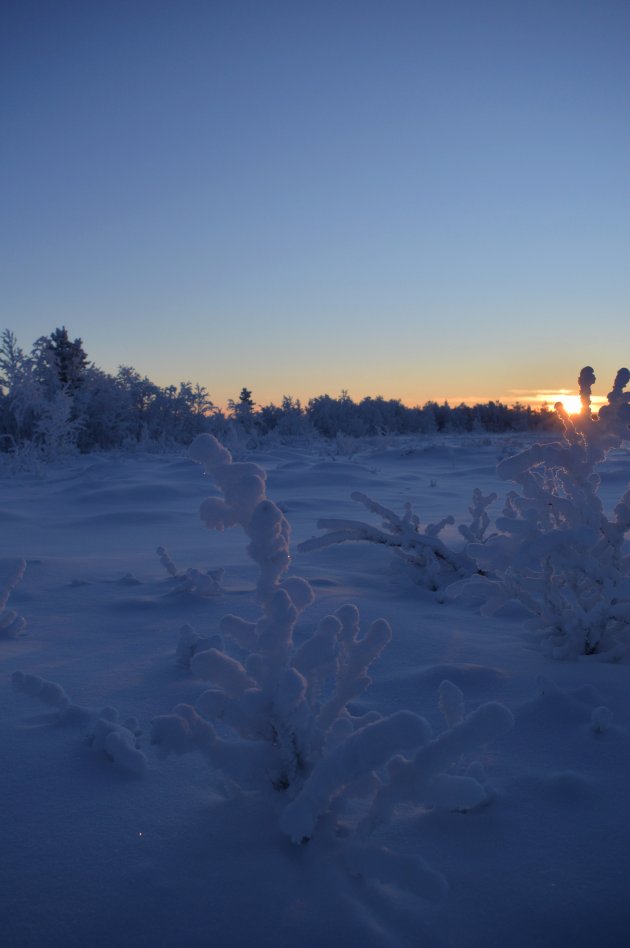 Vroege zonsondergang in Zweeds Lapland