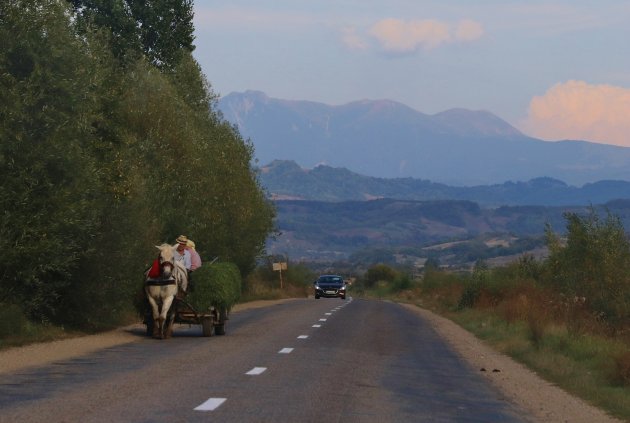 Typisch beeld roadtrip Roemenië