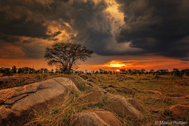 Laatste zonnestralen in Serengeti