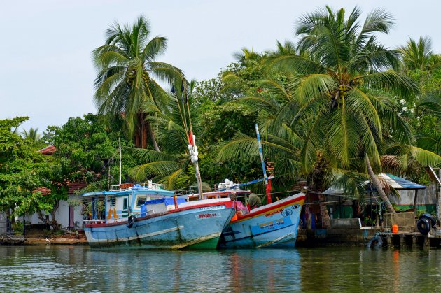 Kleurrijke boten in Negombo
