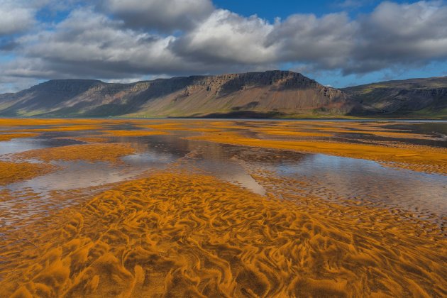 Het speciaalste strand van IJsland