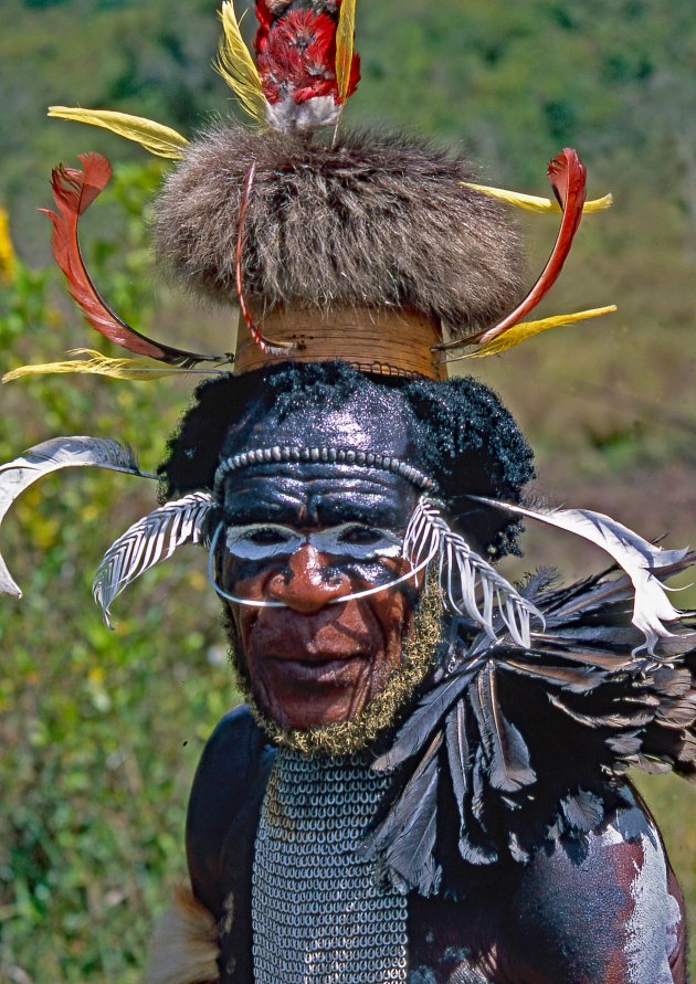 Warrior van de Dani stam Baliem Vallei West Papoea Indonesië