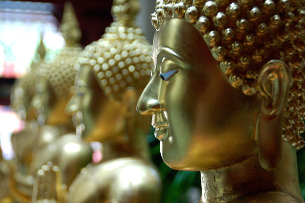 Budha museum