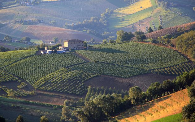 Landgoed met wijngaarden