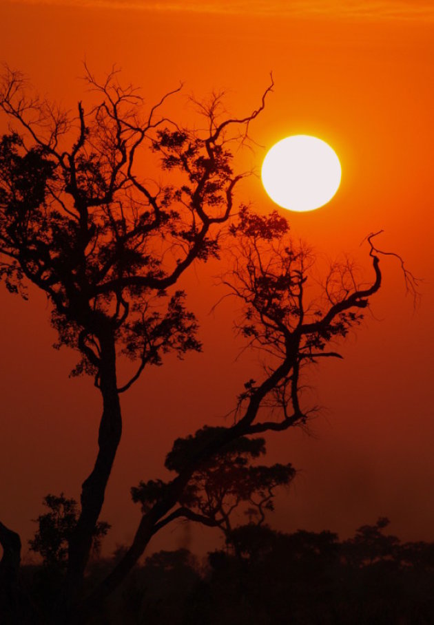 Okavango sundowner