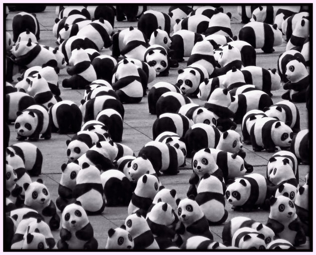 1600 Panda's in Berlijn