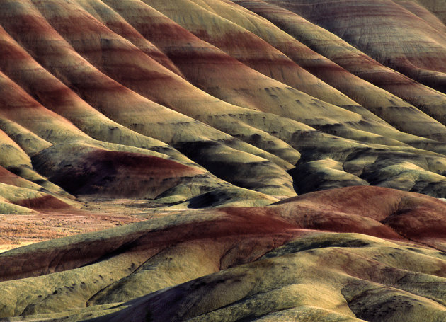 De geschilderde heuvels in het John Day Fossil Beds National Monument