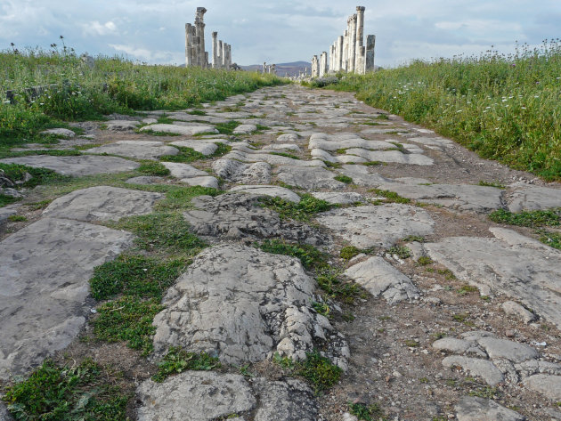 De hoofdweg in Apamea