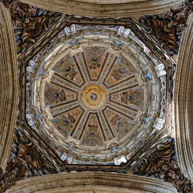 Koepel kathedraal Salamanca