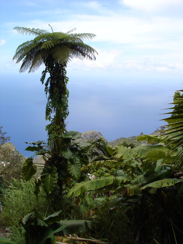 Mt. Scenery Saba
