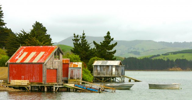 Boothuizen op het Otago Peninsula, Nieuw Zeeland