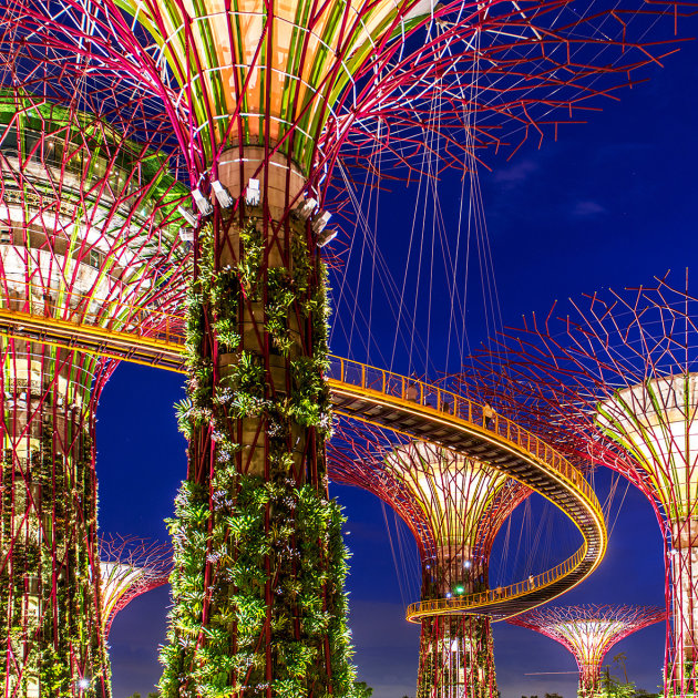 Super Trees @ Gardens by the Bay