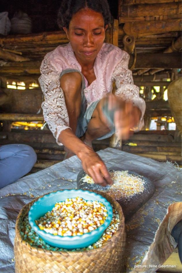 Maisgerecht klaarmaken op Sumba