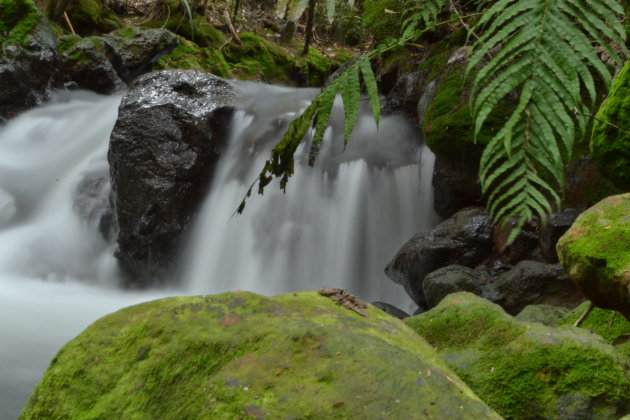 waterval in tropisch bos