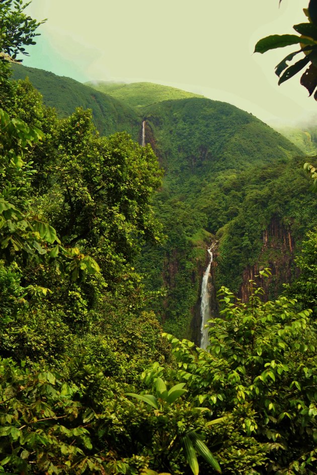 Watervallen in tropische vegetatie