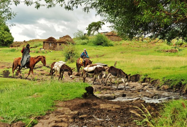 Pakezels in Lesotho