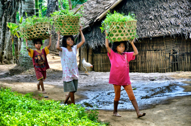 het dorpsleven op Lombok