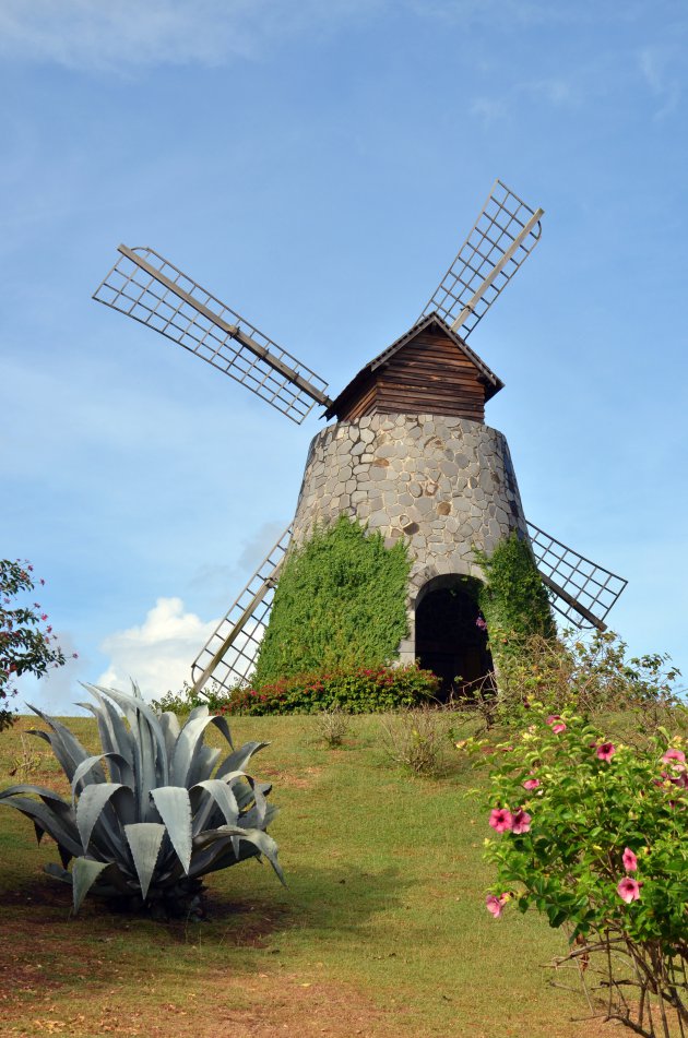 Caribische molen