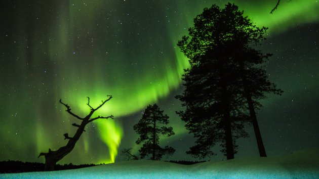 Noorderlicht Inari Lapland